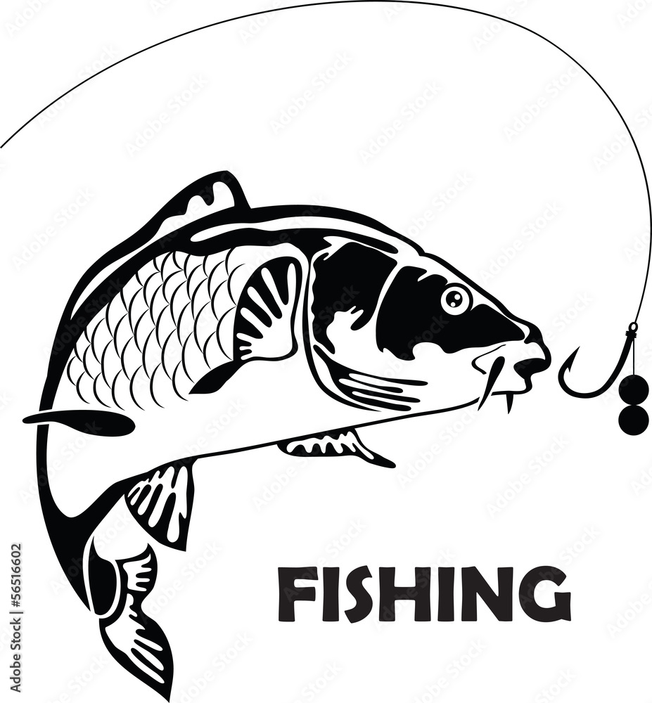 carp fish, vector illustration - obrazy, fototapety, plakaty 