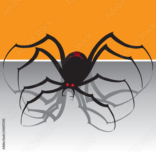 Black Widow Spider