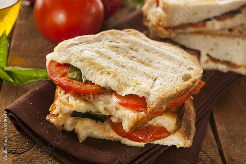 Homemade Tomato and Mozzarella Panini