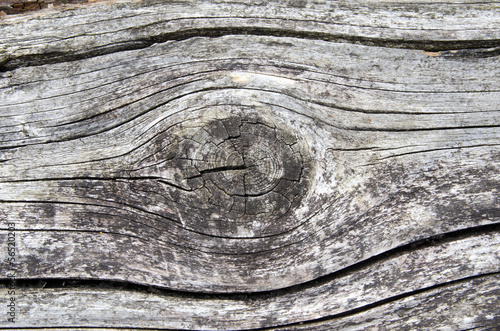 The surface of old weathered wood with a knot