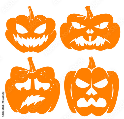 pumpkin vector