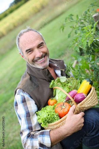 Smiling mature man holding basket of fresh vegetables