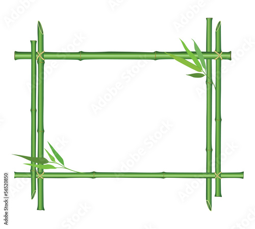 Floral spring border. Frame of bamboo sticks and leaves.