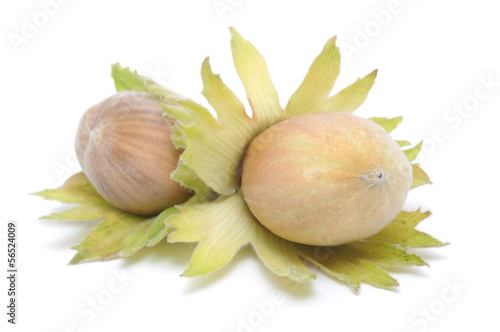 Hazelnuts