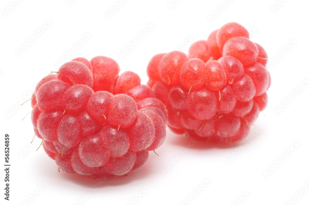 red raspberry fruits isolated red raspberry fruits isolated