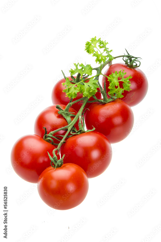 Tomato branch with parsley Tomato branch with parsley