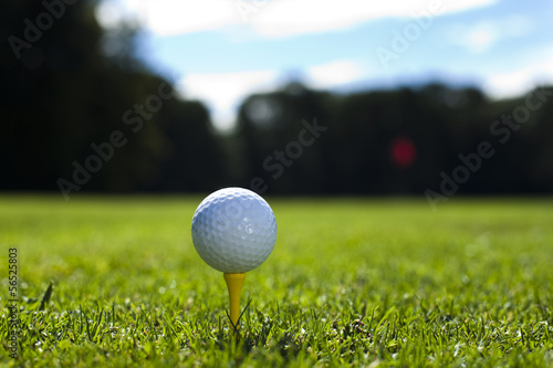 Golf club and ball in grass 
