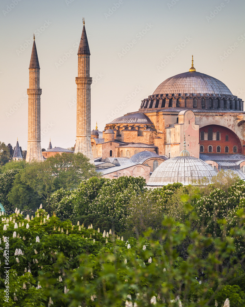 Fototapeta premium Sultanahmet Camii / Blue Mosque, Istanbul, Turkey