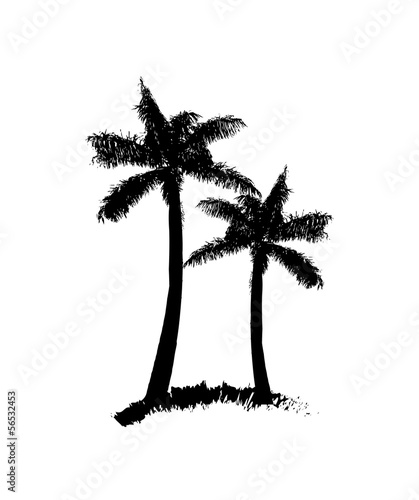 Palm tree