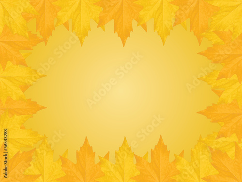 autumnal background with maple leaves border