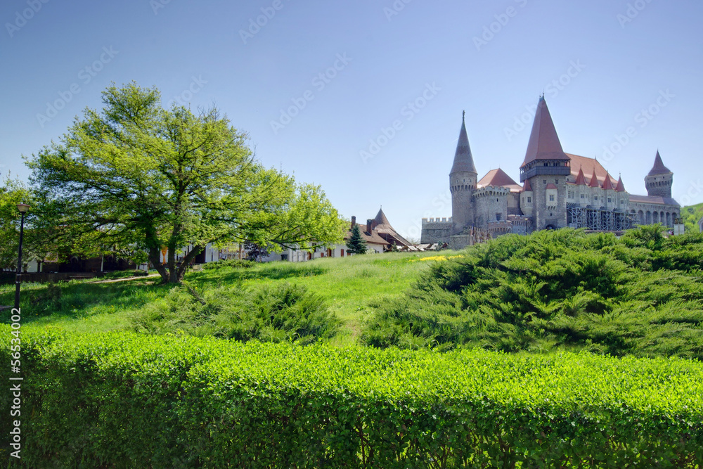 Corvinesti Castle, Hunedoara, Romania
