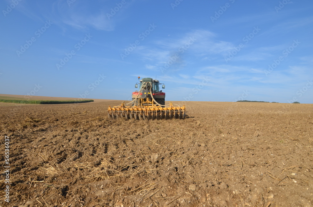 Fototapeta premium agriculteur dans son champs