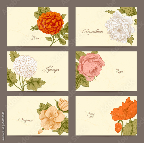 Set of Vintage Floral horizontal business cards.
