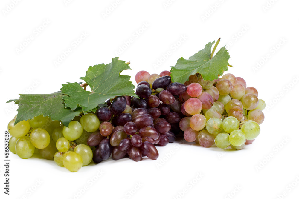 Assorted bunches of grapes Assorted bunches of grapes