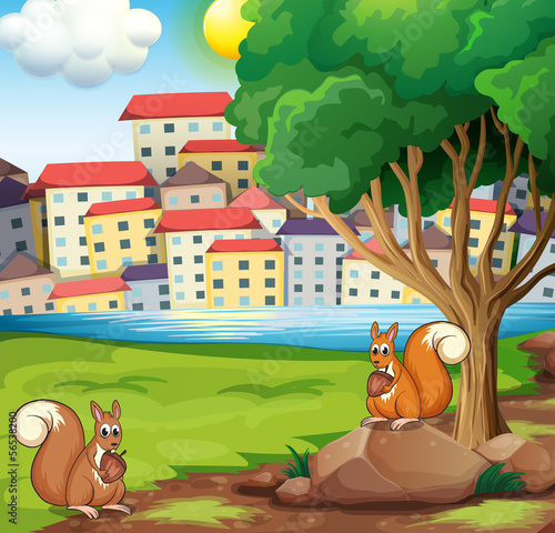 Two squirrels at the riverbank across the village