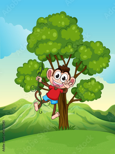 A playful monkey playing at the tree