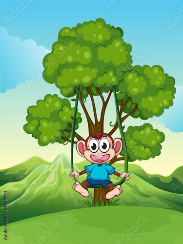 A tree with a monkey playing