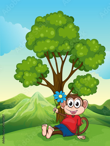 A monkey with a flower sitting under the tree
