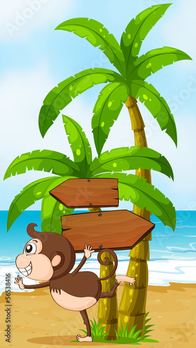 A beach with a playful monkey near the wooden arrowboards