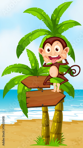 A playful monkey above the wooden arrowboard at the beach