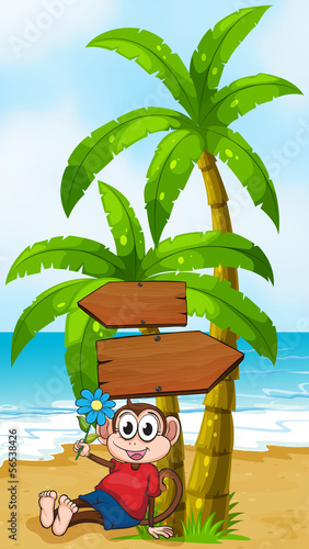 A beach with a monkey holding a flower