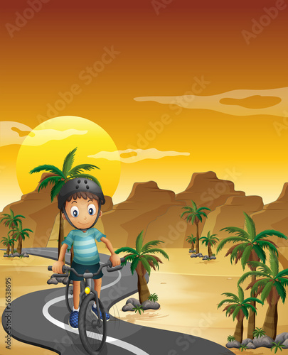 A boy travelling with his bike