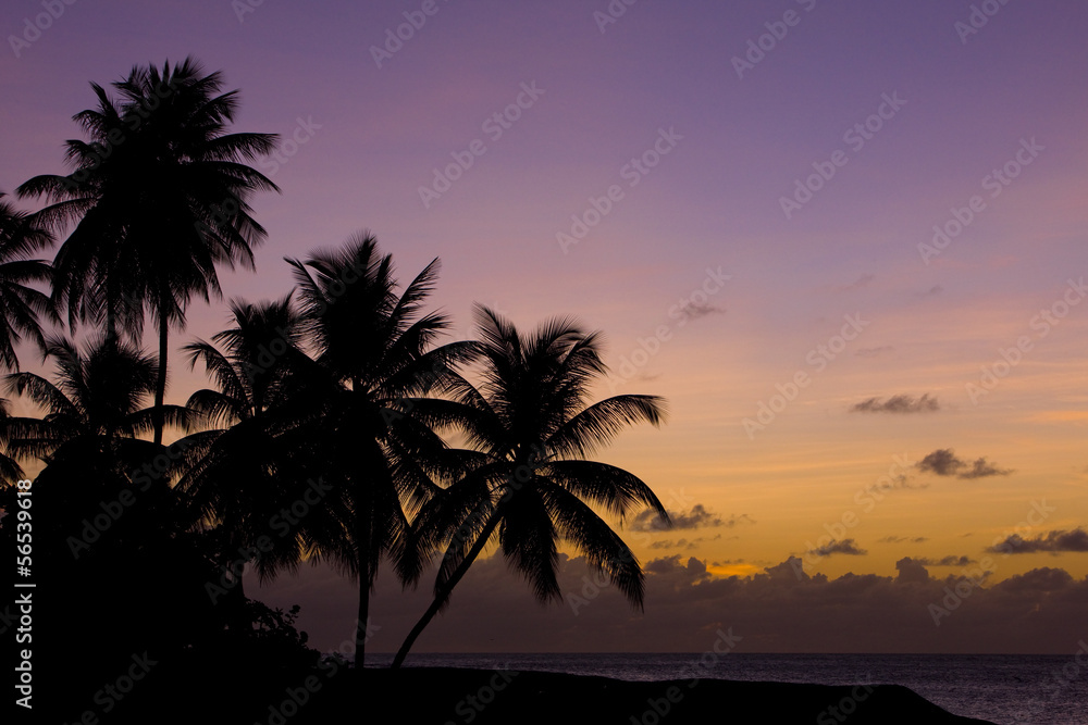 sunset, Turtle Beach, Tobago