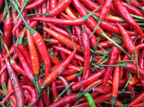 pepper red