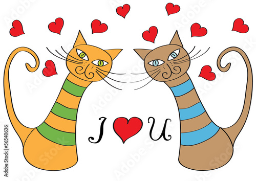 funny cartoon cats in love