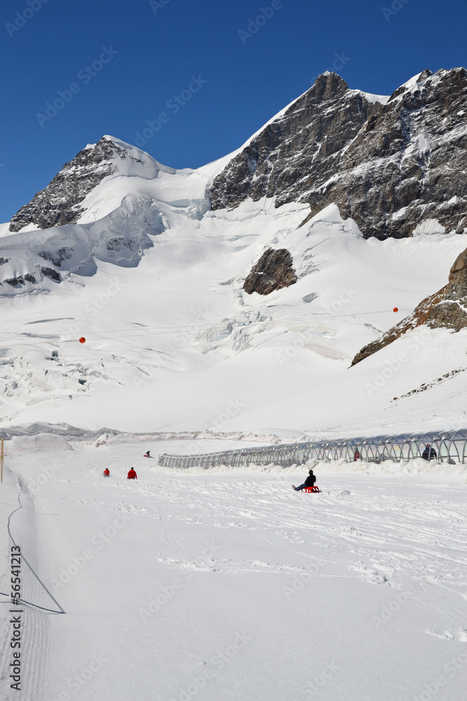 Jungfraujoch Sledging