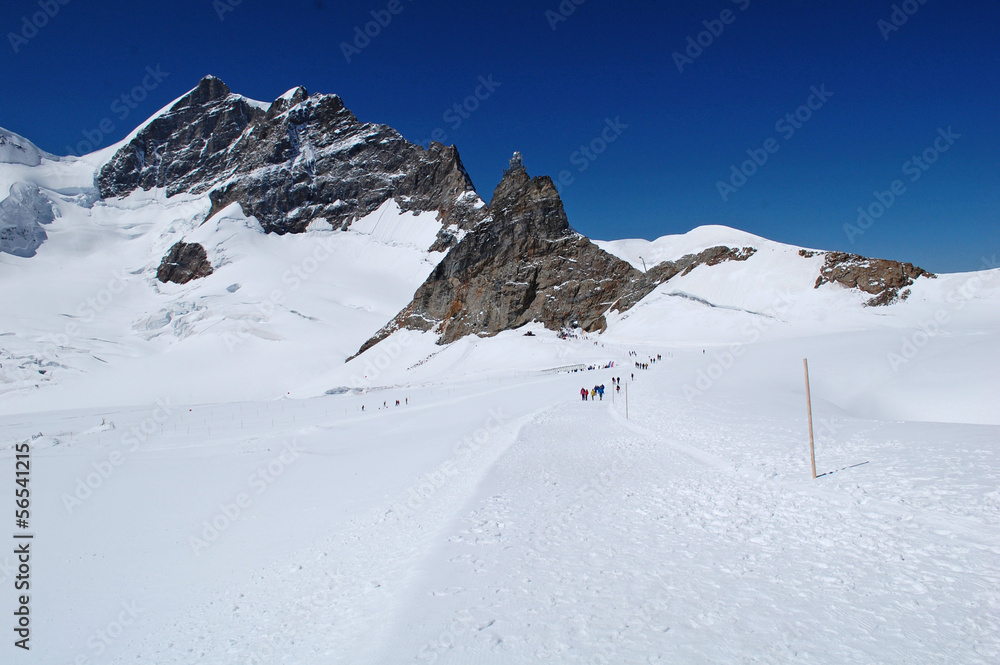 Jungfrau Snow Trail Jungfrau Snow Trail