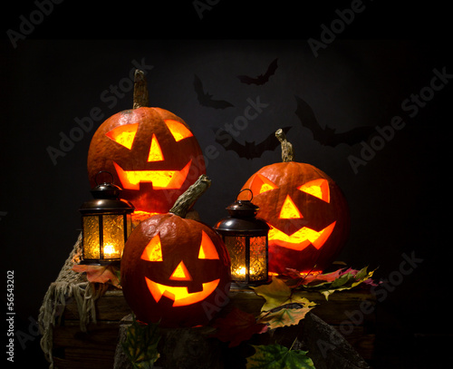 halloween pumhkins and bat