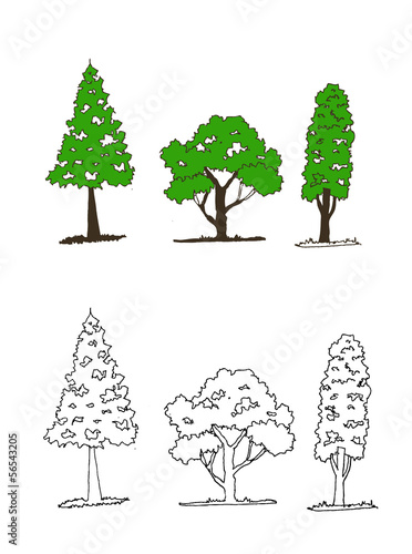 Hand drawn sketch trees with leaves illustration design