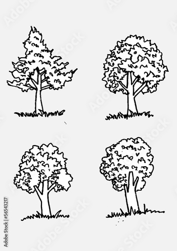 Hand drawn sketch trees with leaves illustration design