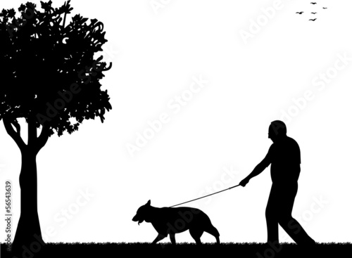 Man walking with his dog in the park silhouette layered