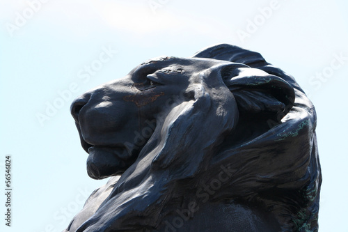Photography lion in the base of Columbus Monument in Barcelona