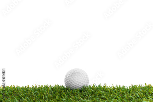 golf ball on course