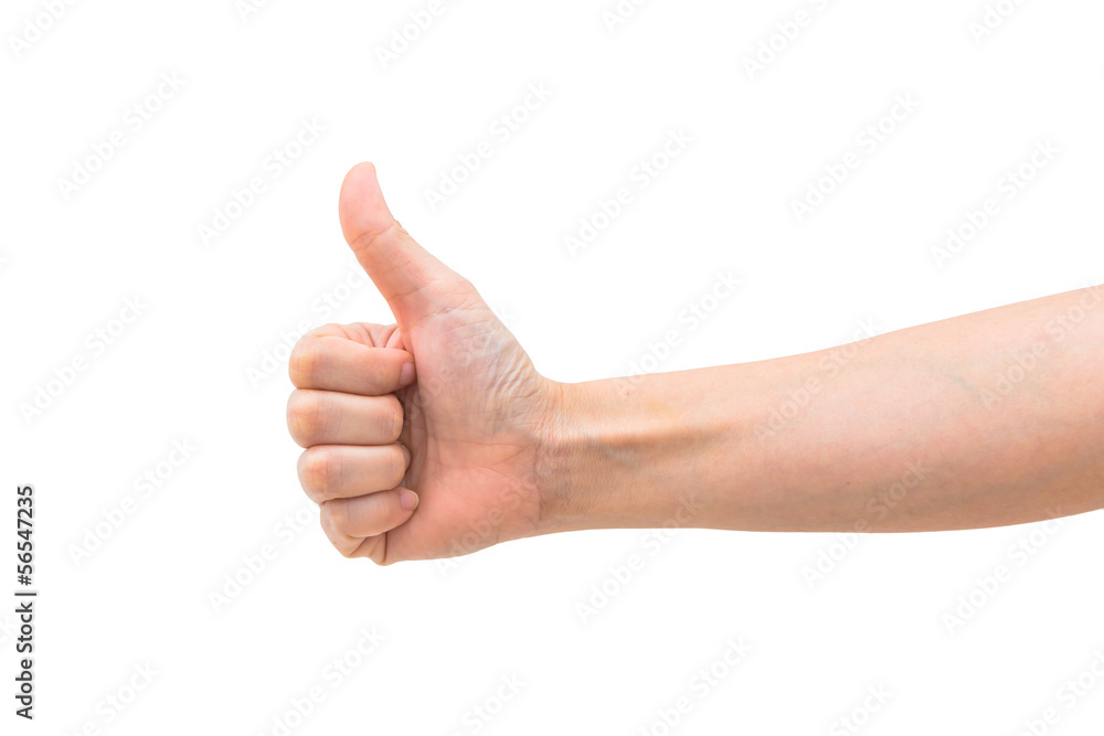 isolated woman hand isolated woman hand
