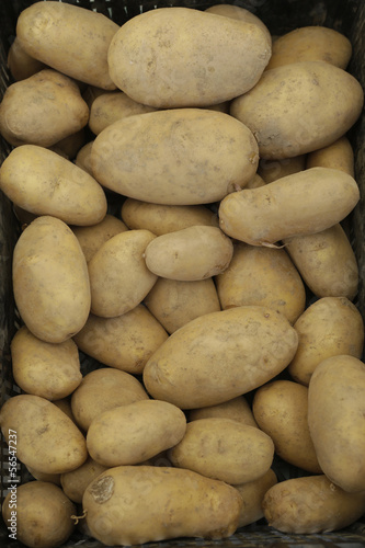 patatas ecologicas