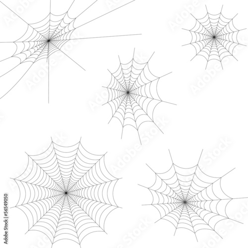 Set Spinnennetz Spinne Netz