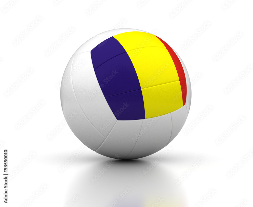 Romanian Volleyball Team