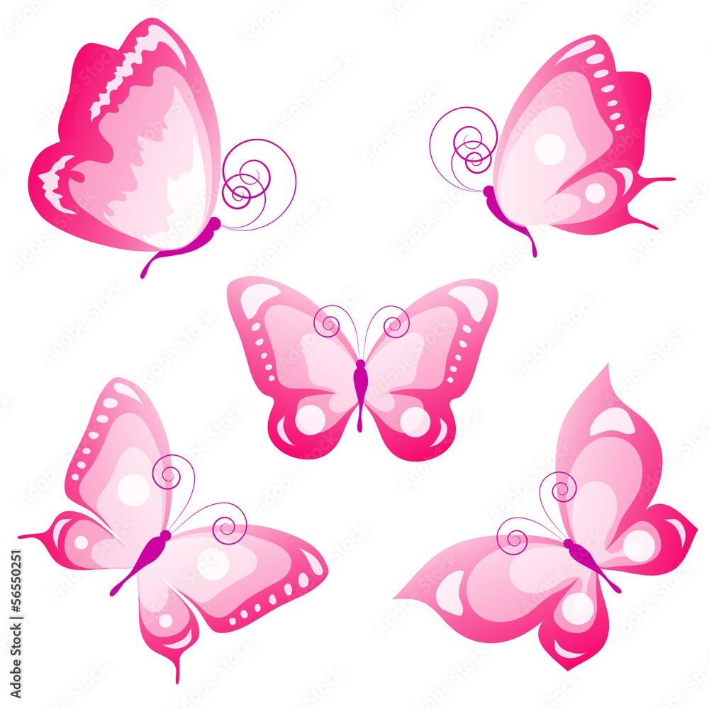 butterflies design butterflies design