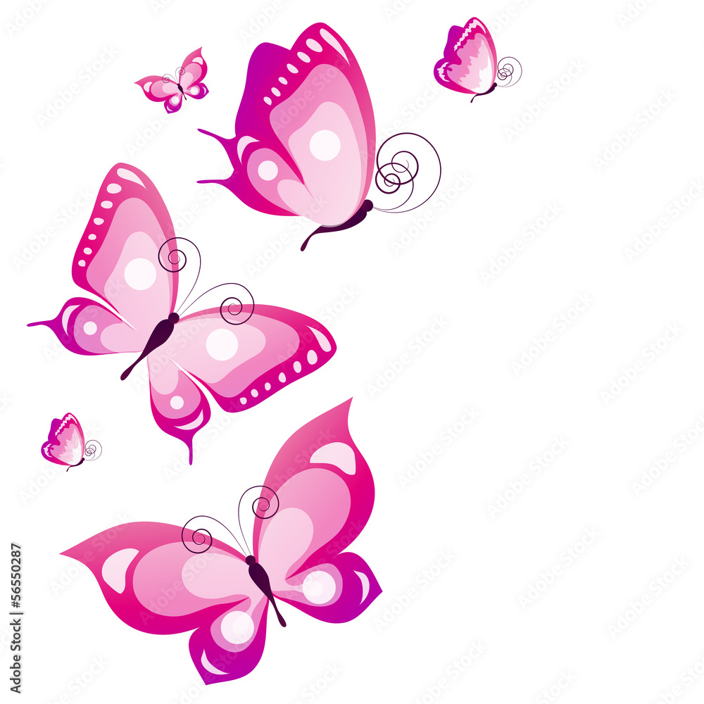 butterflies design