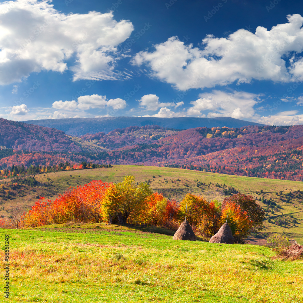 Colorful autumn landscape in the mountains.