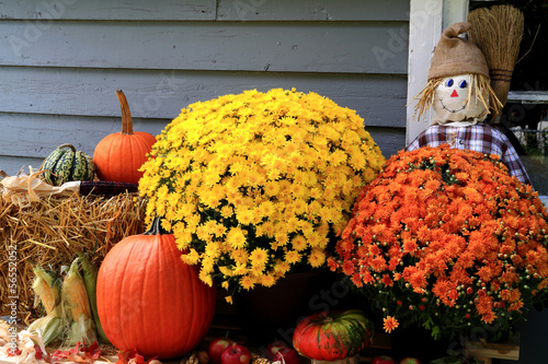 Obraz na płótnie Thanksgiving Decoration