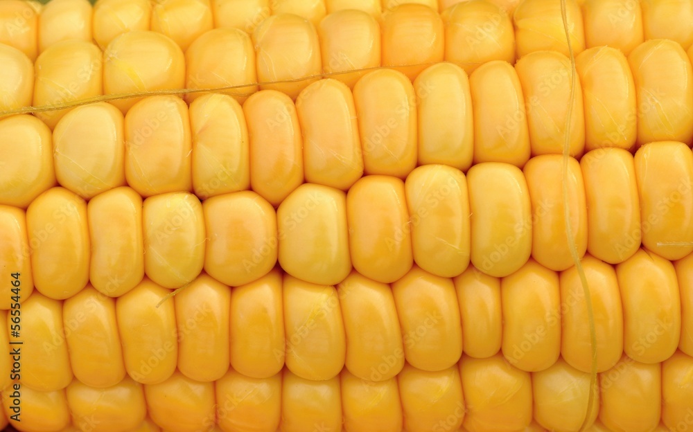 Yellow corn