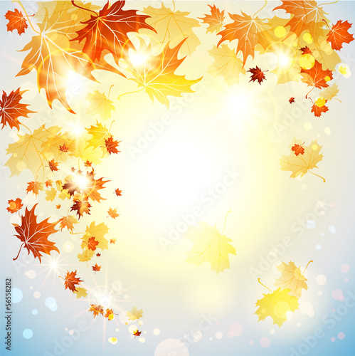 Background with flying autumn leaves