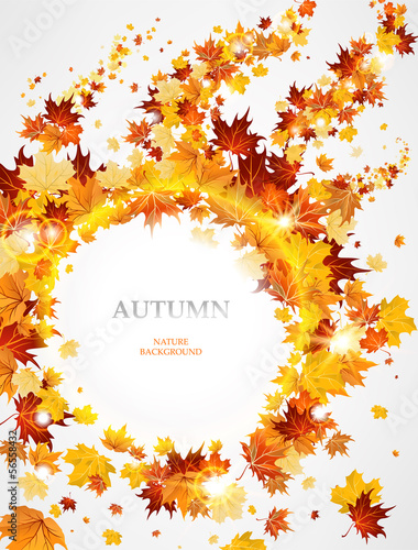 Beautiful autumnal background with leaves