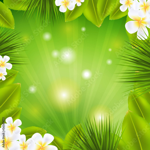 Frame With Frangipani And Sunburst