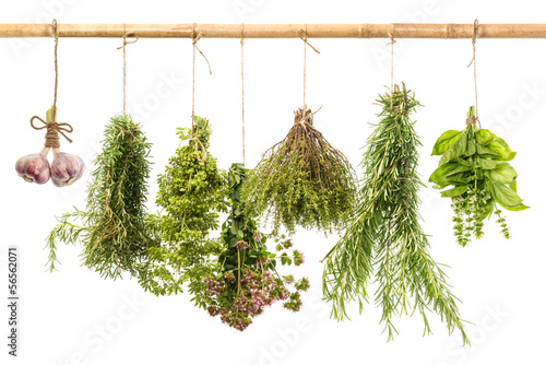 hanging bunches of fresh spicy herbs isolated on white